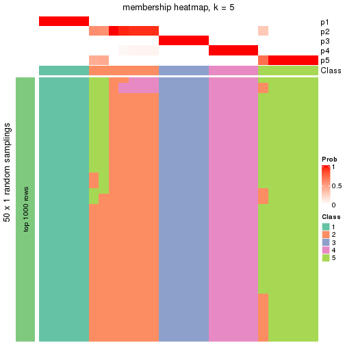 plot of chunk tab-node-0213-membership-heatmap-4