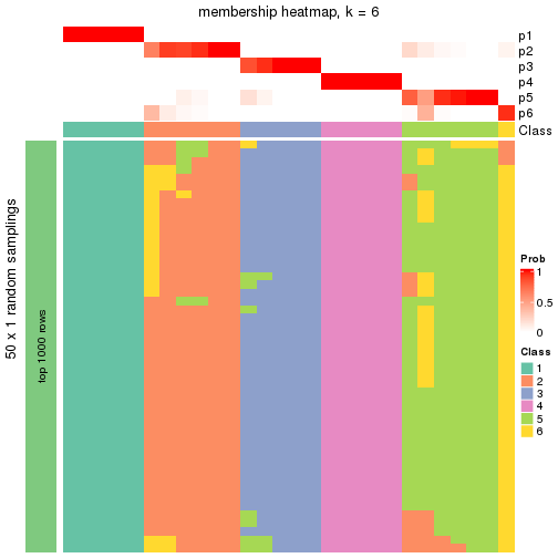 plot of chunk tab-node-0213-membership-heatmap-5