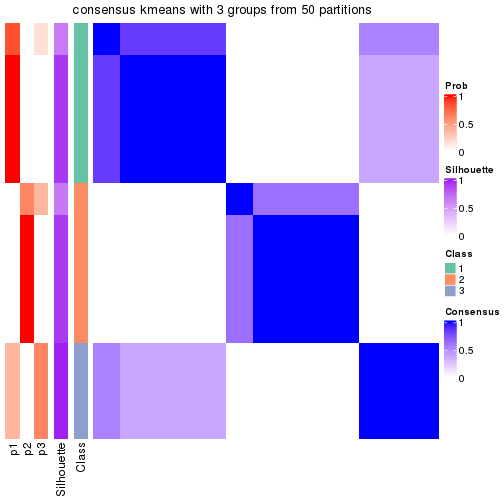 plot of chunk tab-node-02132-consensus-heatmap-2