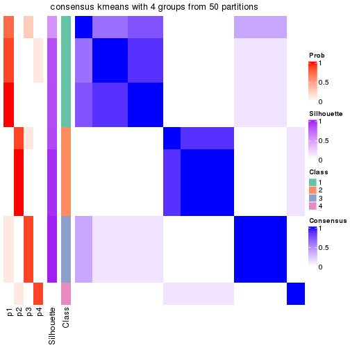 plot of chunk tab-node-02132-consensus-heatmap-3