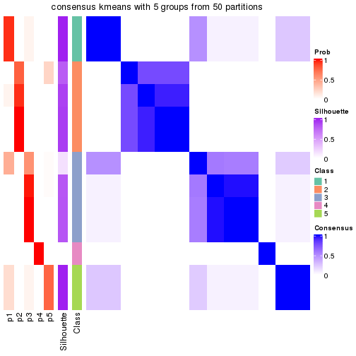 plot of chunk tab-node-02132-consensus-heatmap-4