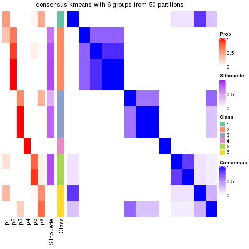 plot of chunk tab-node-02132-consensus-heatmap-5