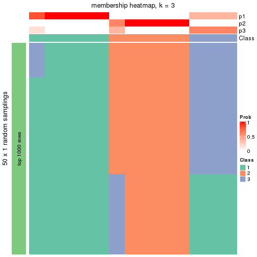 plot of chunk tab-node-02132-membership-heatmap-2