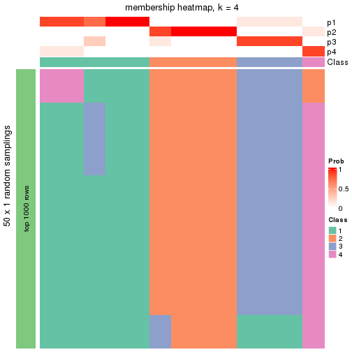 plot of chunk tab-node-02132-membership-heatmap-3