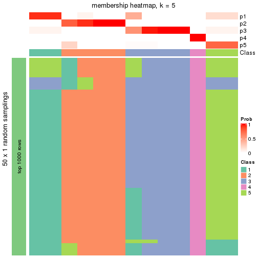 plot of chunk tab-node-02132-membership-heatmap-4