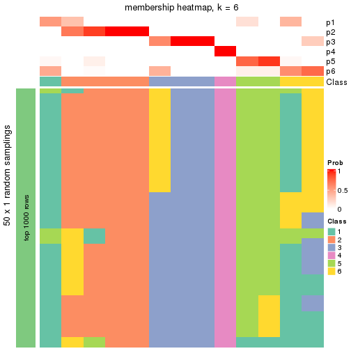 plot of chunk tab-node-02132-membership-heatmap-5