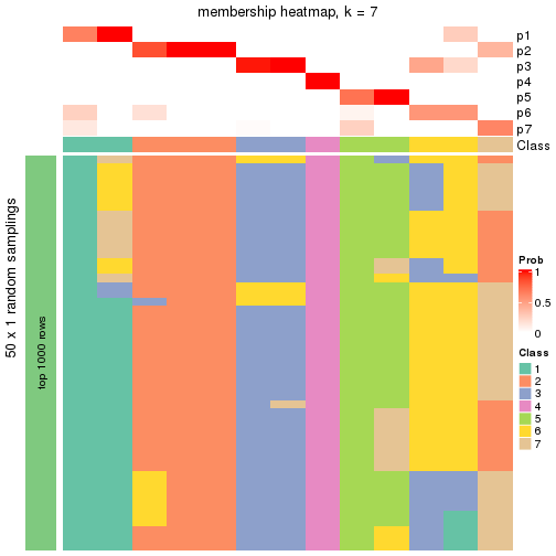 plot of chunk tab-node-02132-membership-heatmap-6