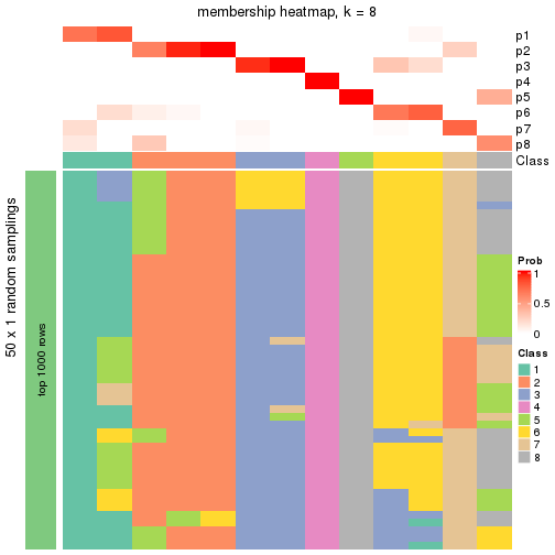 plot of chunk tab-node-02132-membership-heatmap-7