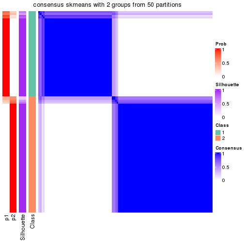 plot of chunk tab-node-022-consensus-heatmap-1