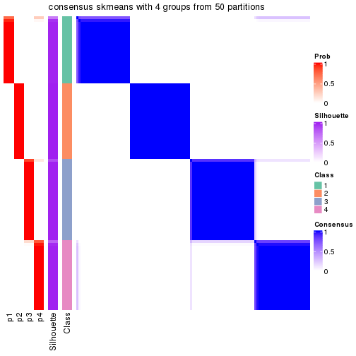 plot of chunk tab-node-022-consensus-heatmap-3