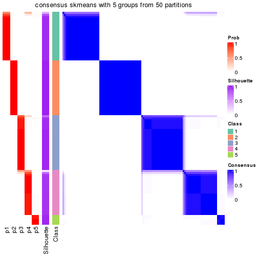 plot of chunk tab-node-022-consensus-heatmap-4