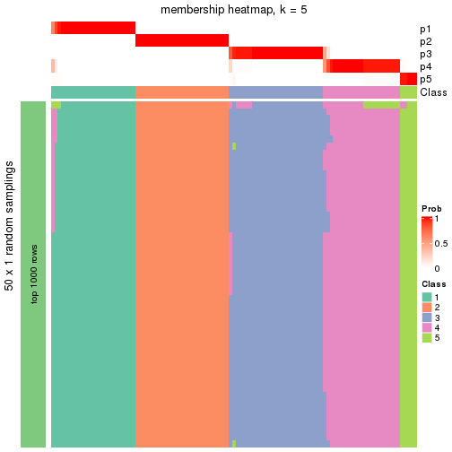 plot of chunk tab-node-022-membership-heatmap-4