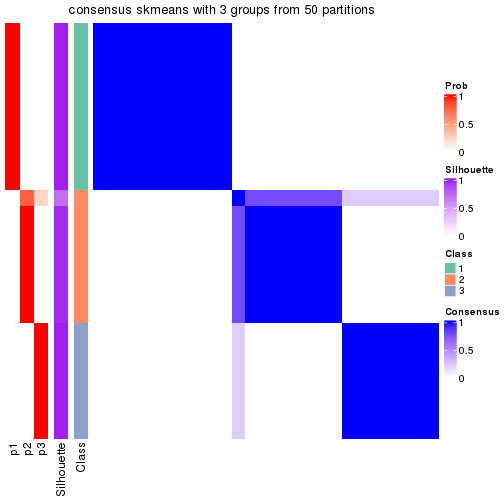 plot of chunk tab-node-0221-consensus-heatmap-2