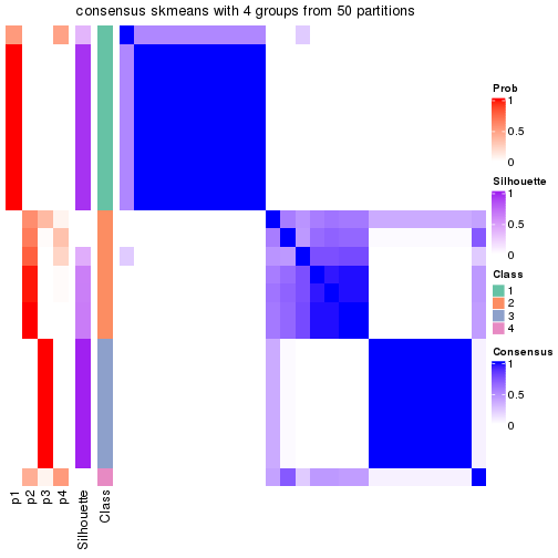 plot of chunk tab-node-0221-consensus-heatmap-3