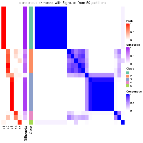 plot of chunk tab-node-0221-consensus-heatmap-4