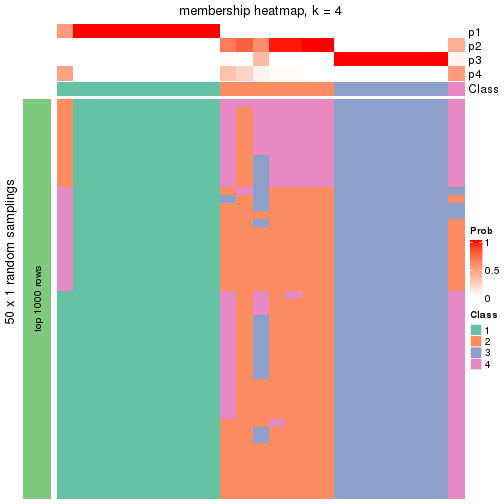 plot of chunk tab-node-0221-membership-heatmap-3