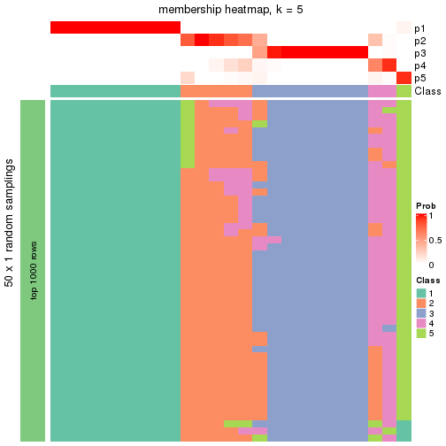 plot of chunk tab-node-0221-membership-heatmap-4