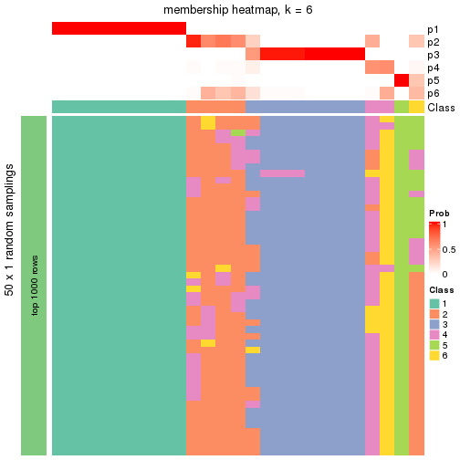 plot of chunk tab-node-0221-membership-heatmap-5