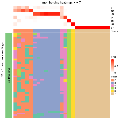 plot of chunk tab-node-0221-membership-heatmap-6