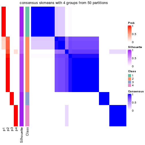 plot of chunk tab-node-0222-consensus-heatmap-3