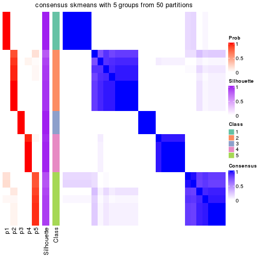 plot of chunk tab-node-0222-consensus-heatmap-4