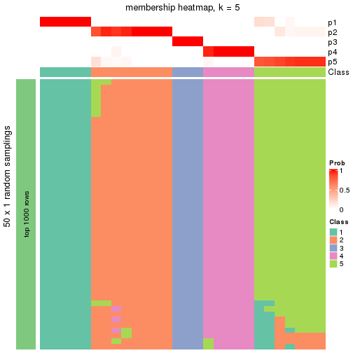 plot of chunk tab-node-0222-membership-heatmap-4