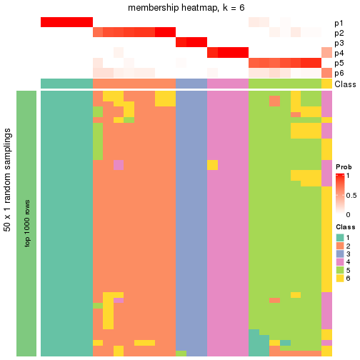 plot of chunk tab-node-0222-membership-heatmap-5