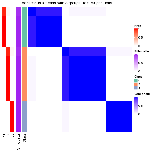 plot of chunk tab-node-0223-consensus-heatmap-2