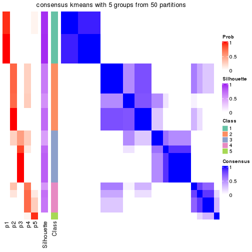 plot of chunk tab-node-0223-consensus-heatmap-4