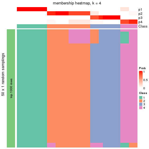 plot of chunk tab-node-0223-membership-heatmap-3