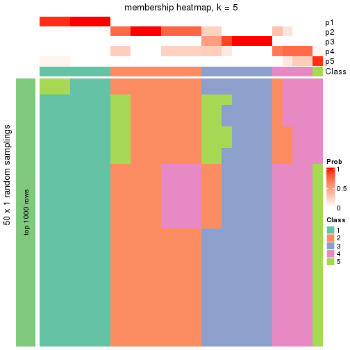 plot of chunk tab-node-0223-membership-heatmap-4