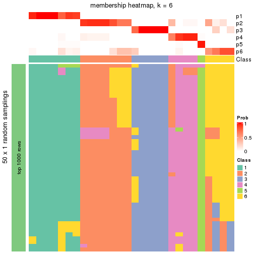 plot of chunk tab-node-0223-membership-heatmap-5