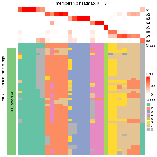 plot of chunk tab-node-0223-membership-heatmap-7