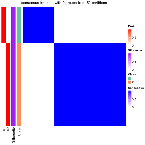 plot of chunk tab-node-0224-consensus-heatmap-1