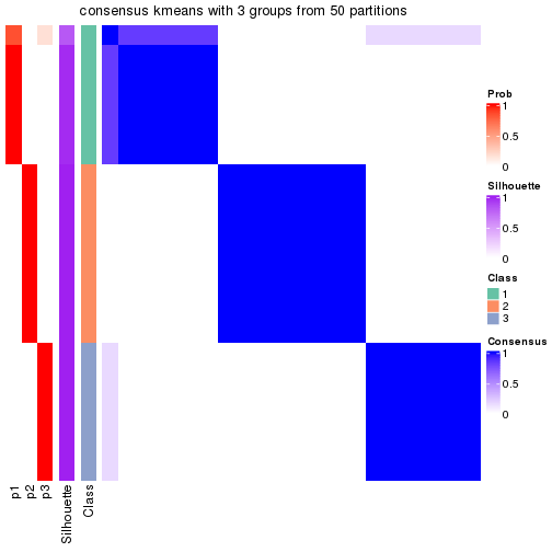 plot of chunk tab-node-0224-consensus-heatmap-2