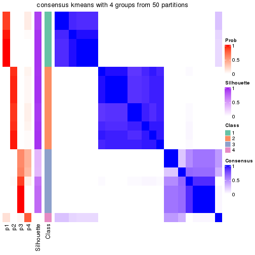 plot of chunk tab-node-0224-consensus-heatmap-3