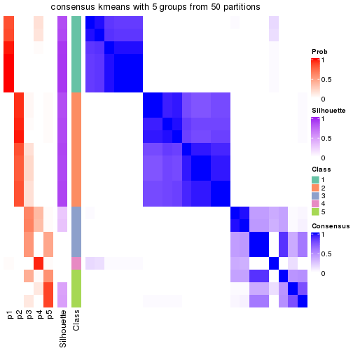 plot of chunk tab-node-0224-consensus-heatmap-4