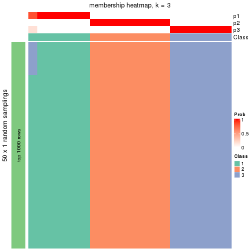 plot of chunk tab-node-0224-membership-heatmap-2