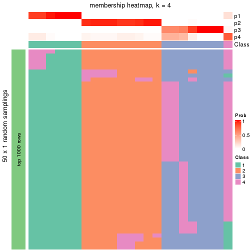 plot of chunk tab-node-0224-membership-heatmap-3