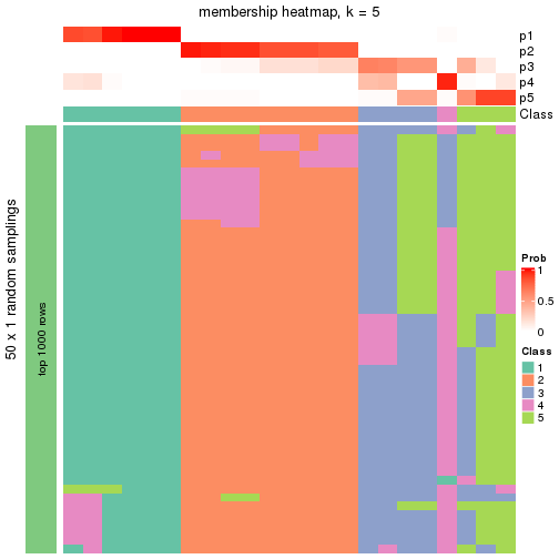 plot of chunk tab-node-0224-membership-heatmap-4