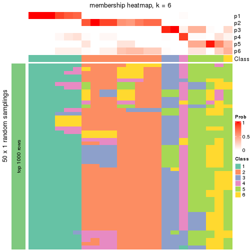 plot of chunk tab-node-0224-membership-heatmap-5