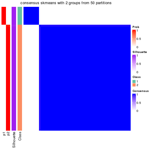 plot of chunk tab-node-023-consensus-heatmap-1