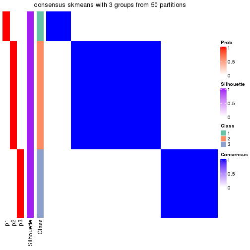 plot of chunk tab-node-023-consensus-heatmap-2