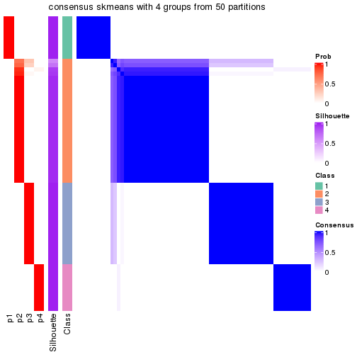 plot of chunk tab-node-023-consensus-heatmap-3