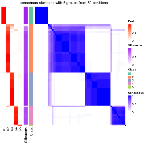 plot of chunk tab-node-023-consensus-heatmap-4