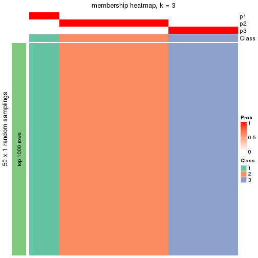 plot of chunk tab-node-023-membership-heatmap-2