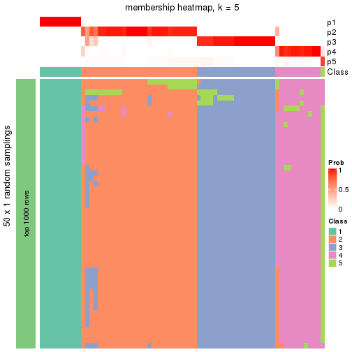 plot of chunk tab-node-023-membership-heatmap-4