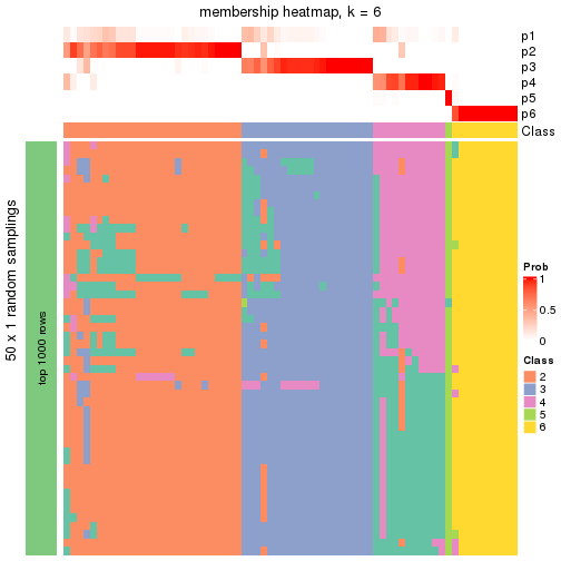 plot of chunk tab-node-023-membership-heatmap-5