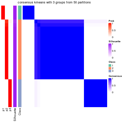 plot of chunk tab-node-0232-consensus-heatmap-2