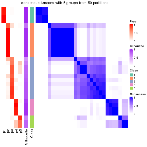 plot of chunk tab-node-0232-consensus-heatmap-4